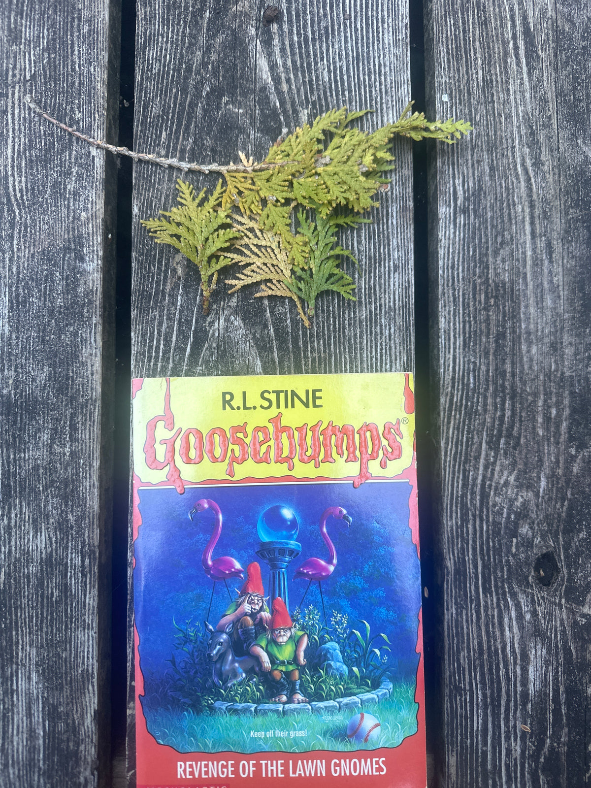 Goosebumps : Revenge of the lawn gnomes