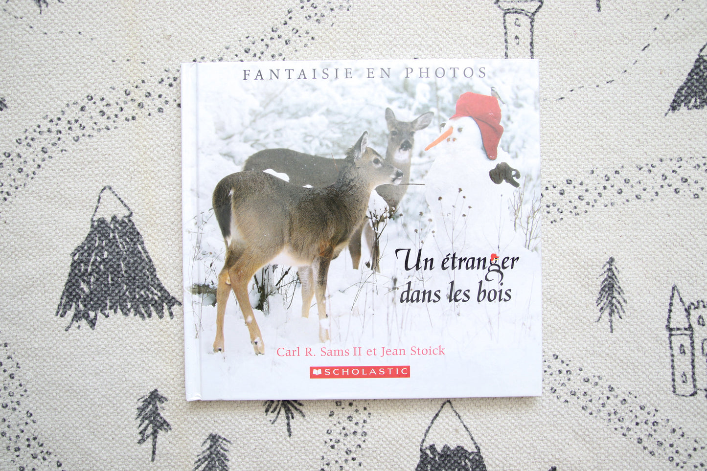 Un étranger dans les bois