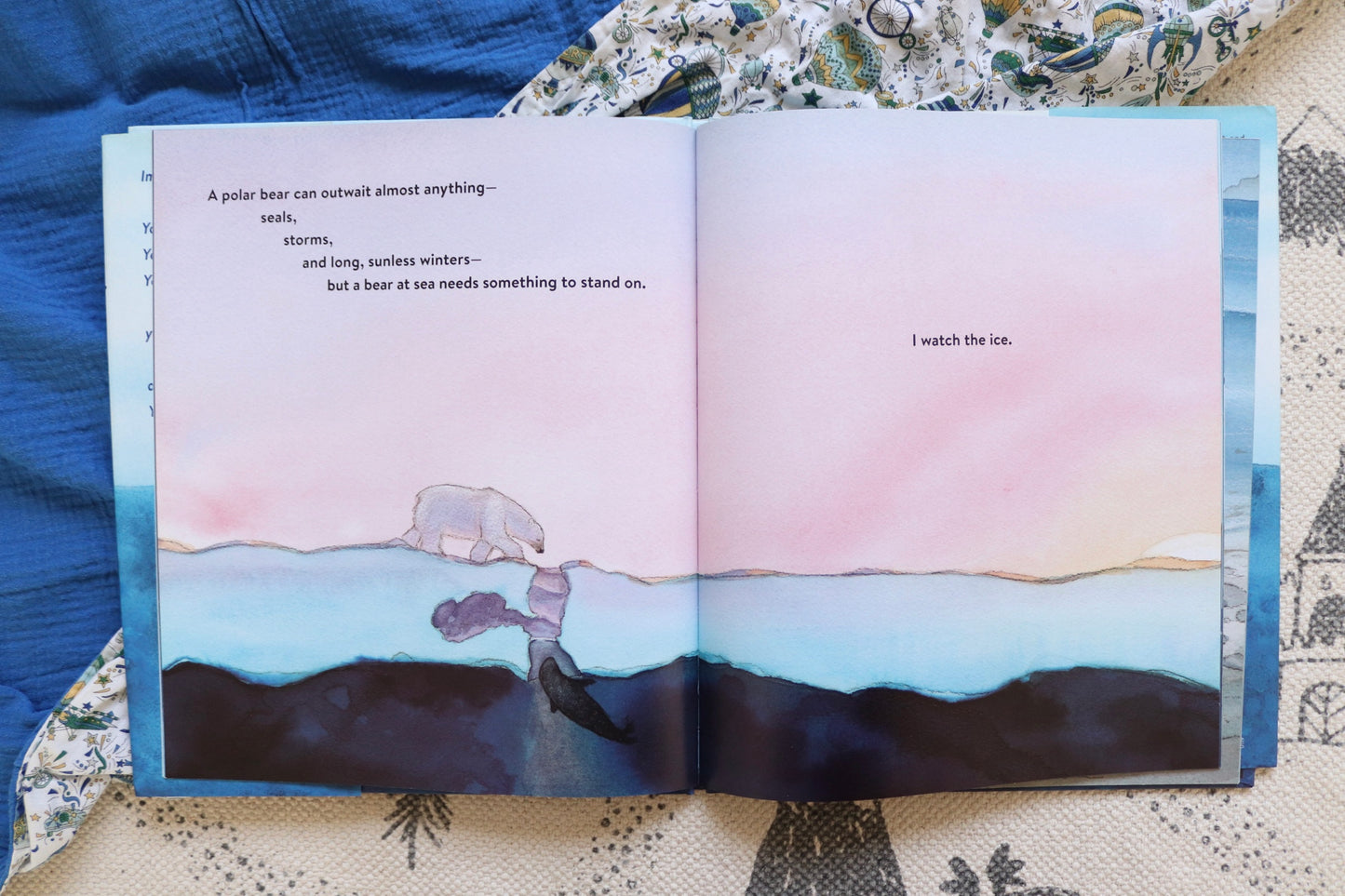 Sea Bear a journey for survival