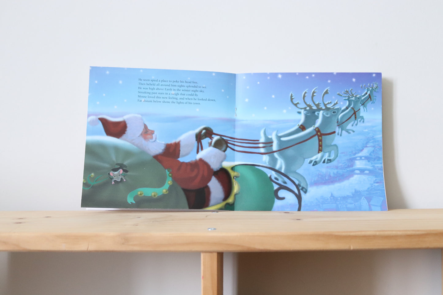 The mouse before Christmas