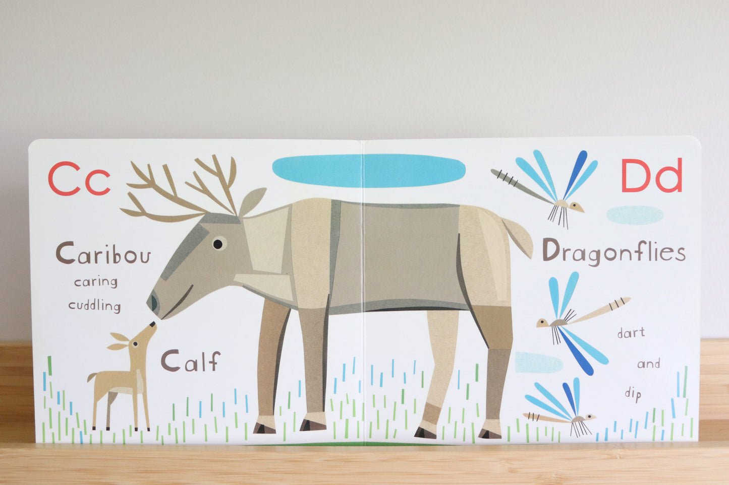 Moose, Goose, Animals on the Loose! Canadian Animals ABC