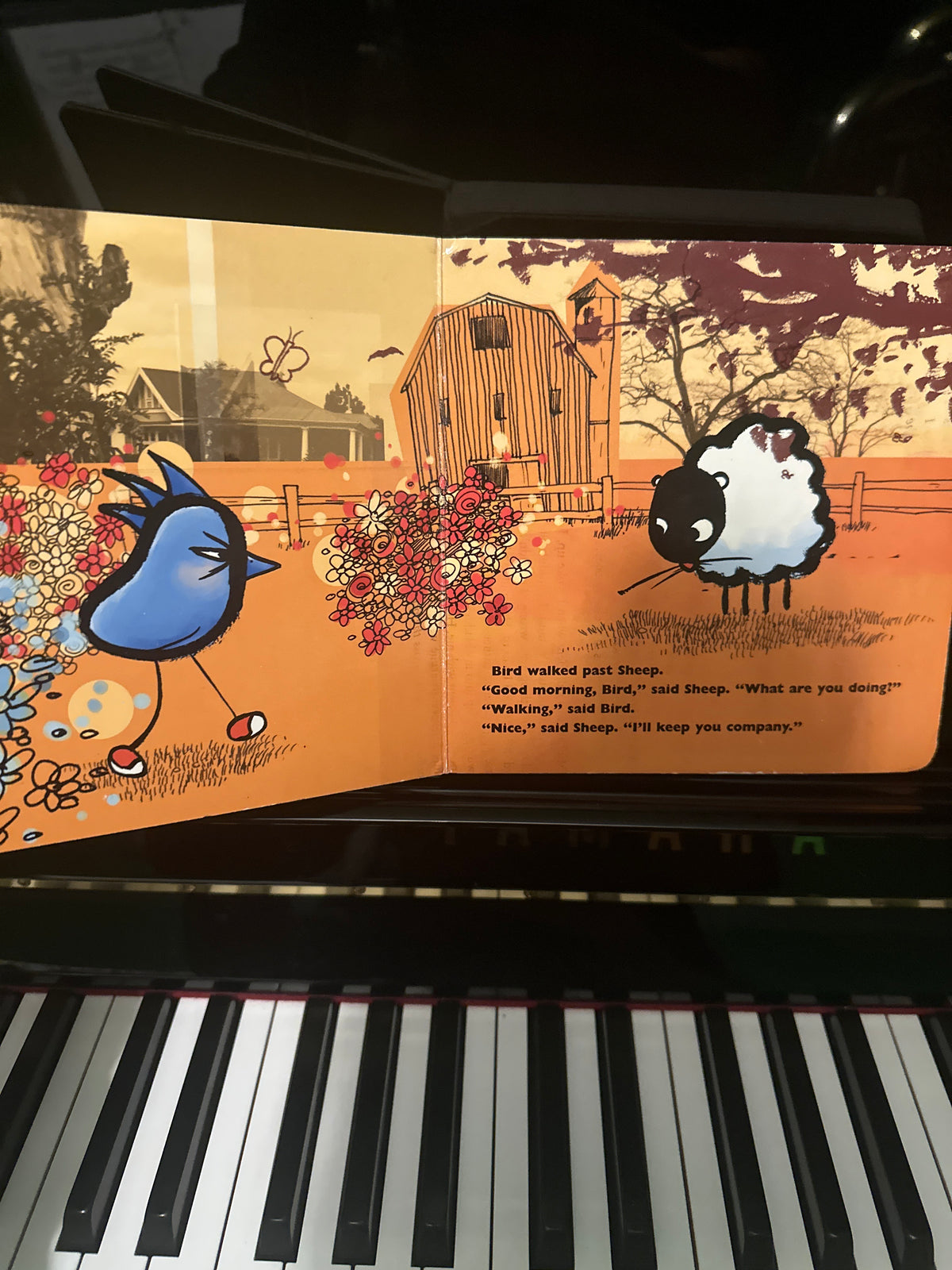 Grumpy Bird
