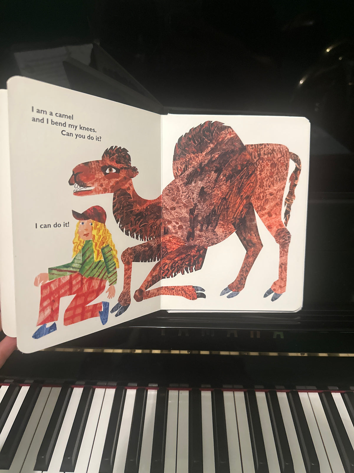 From Head to Toe board book