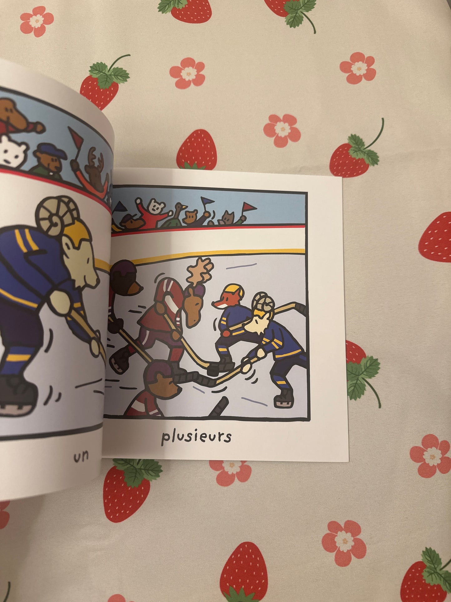 Hockey au Canada les contraires