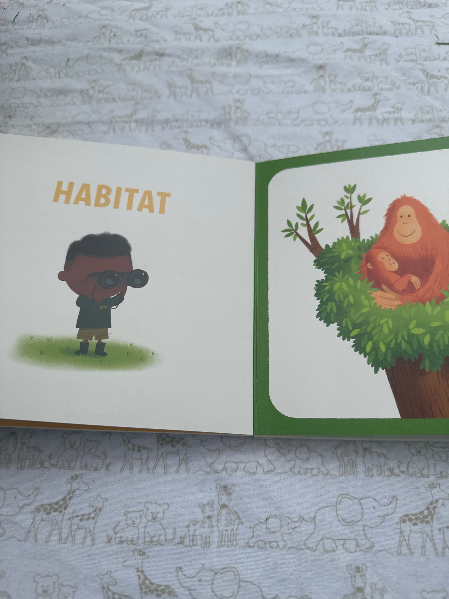 Little Zoologist
