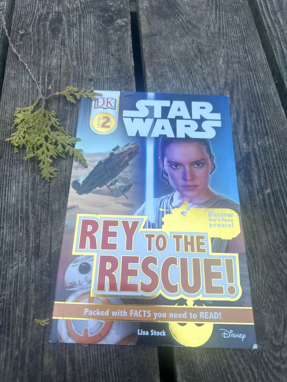 Star Wars Rey to the Rescue