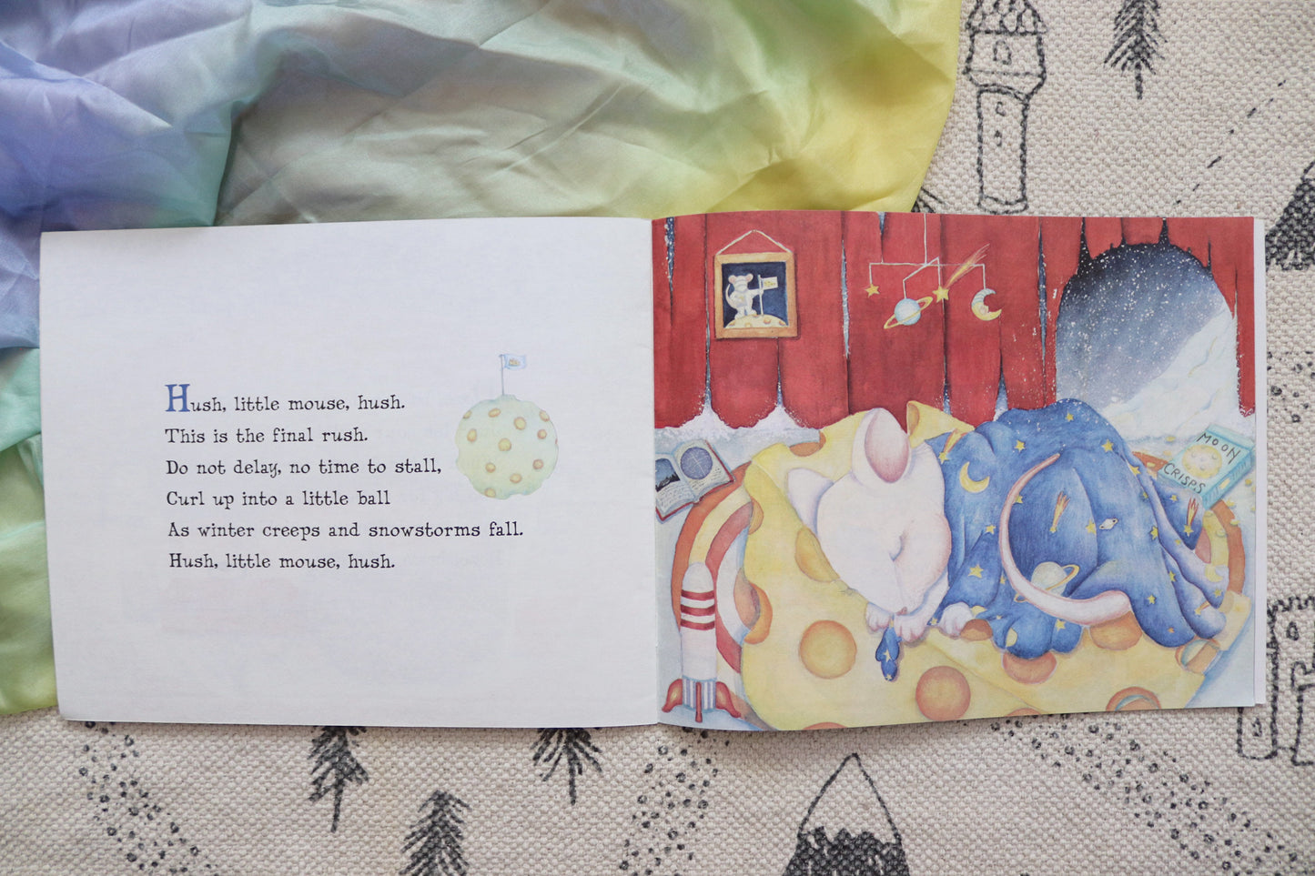 Sleep, black bear, sleep