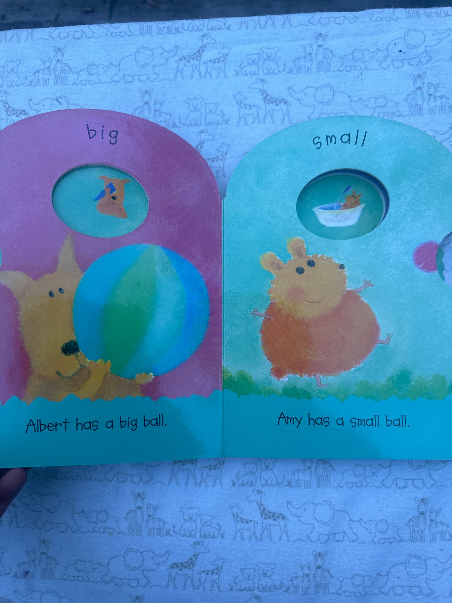 Opposites with Albert and Amy