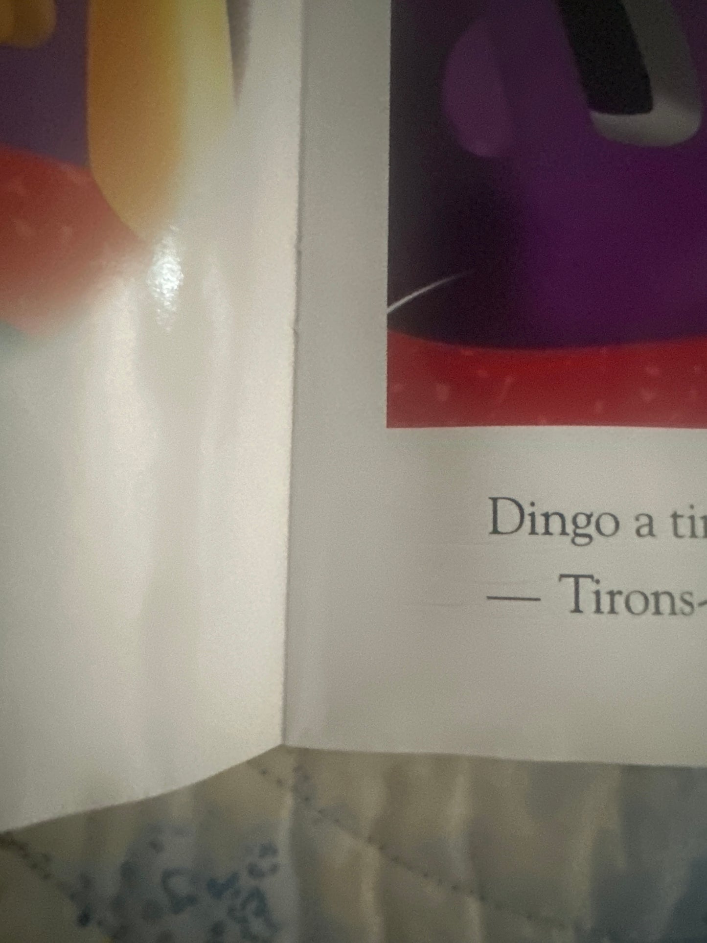 Dingo