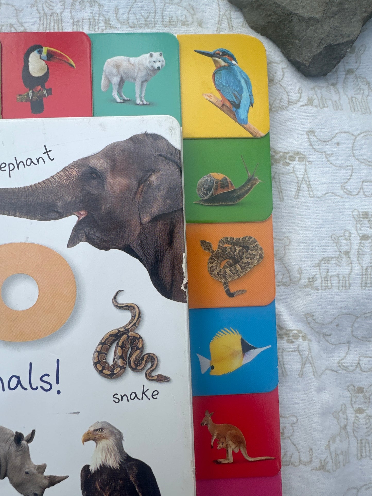 My first Zoo