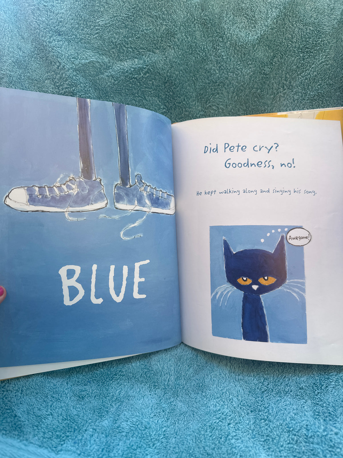 Pete the Cat I Love My White Shoes π