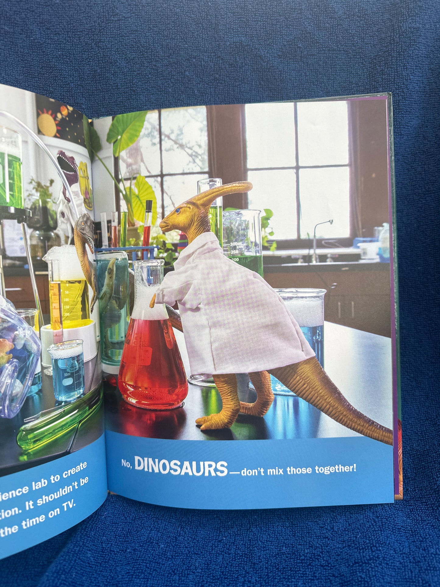 What the dinosaurs did at school