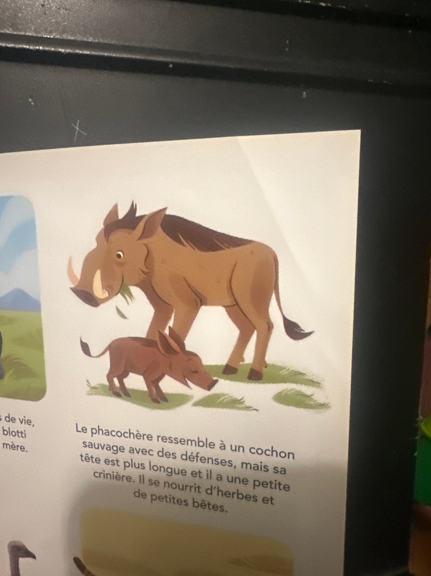 Les animaux de la savane 🦒