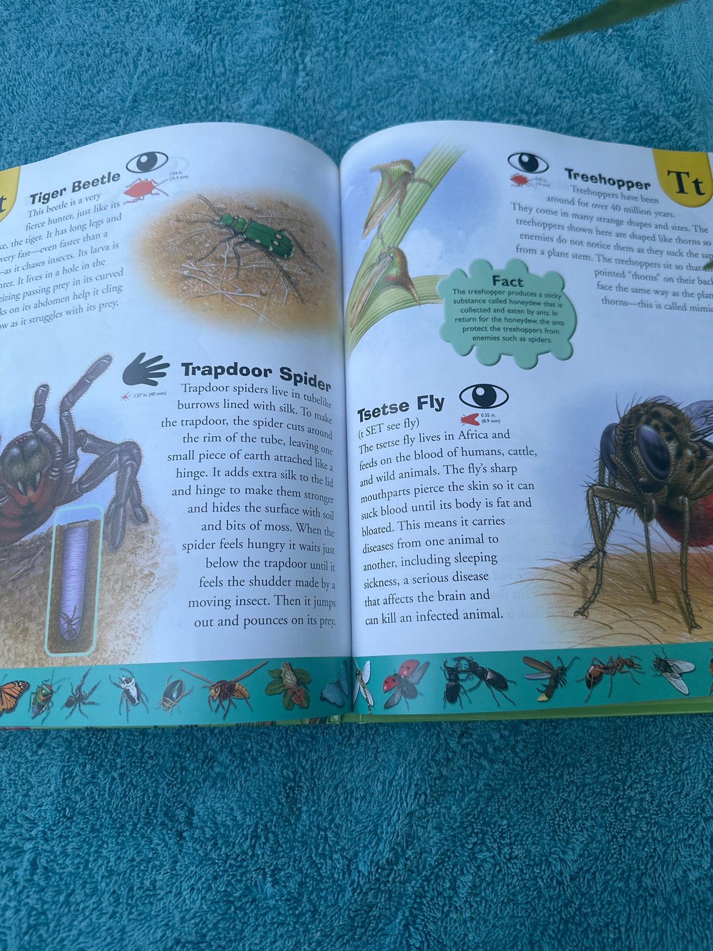 Bug Dictionary