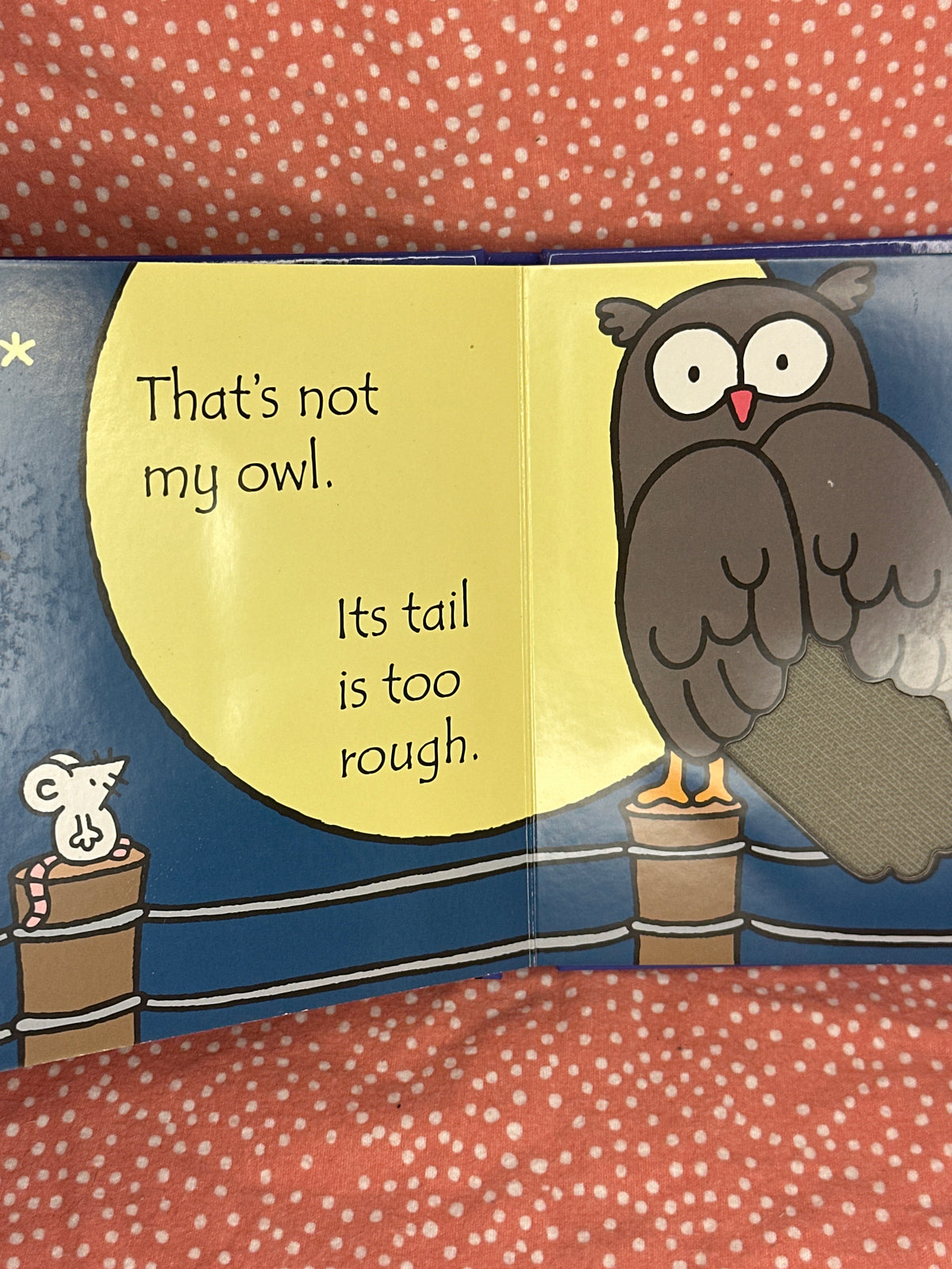 That’s not my owl 🦉