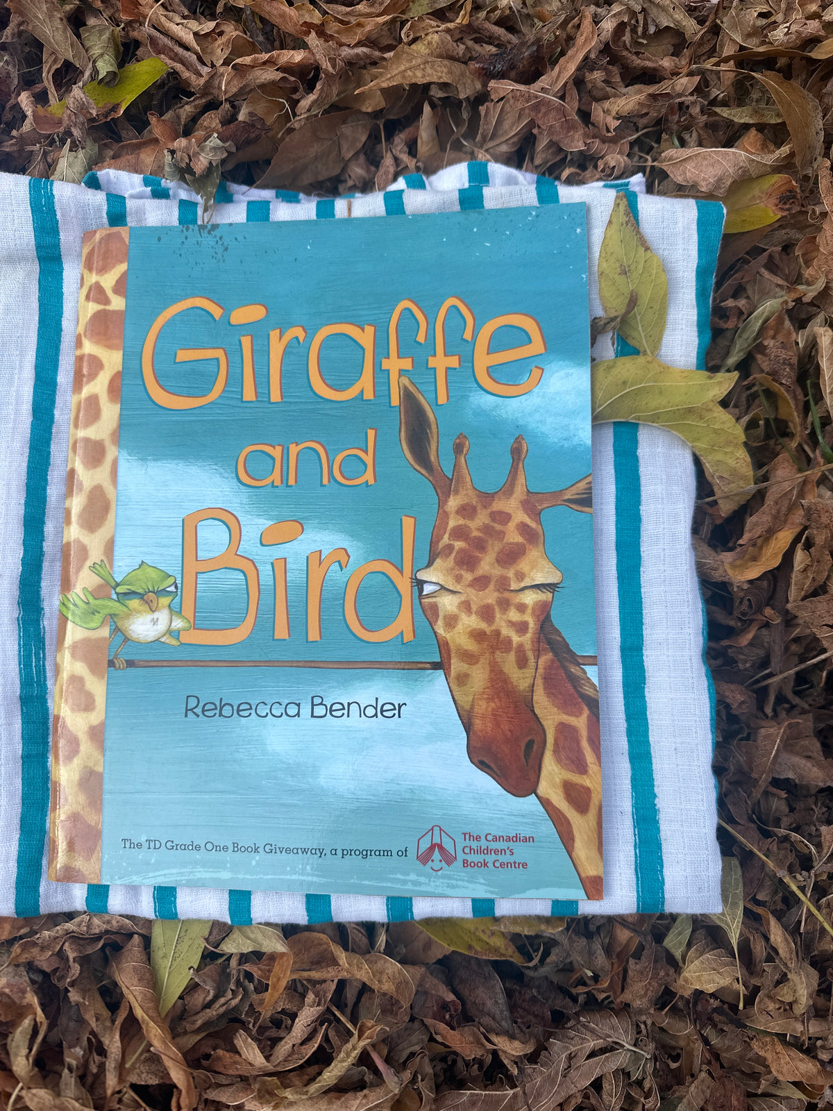 Giraffe and bird