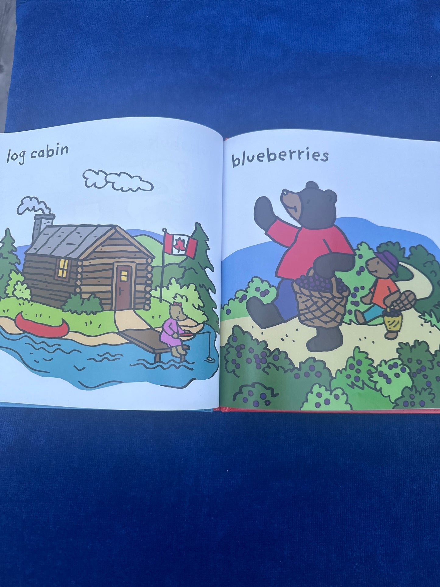 Canada in Words (Per-Henrik Gürth)