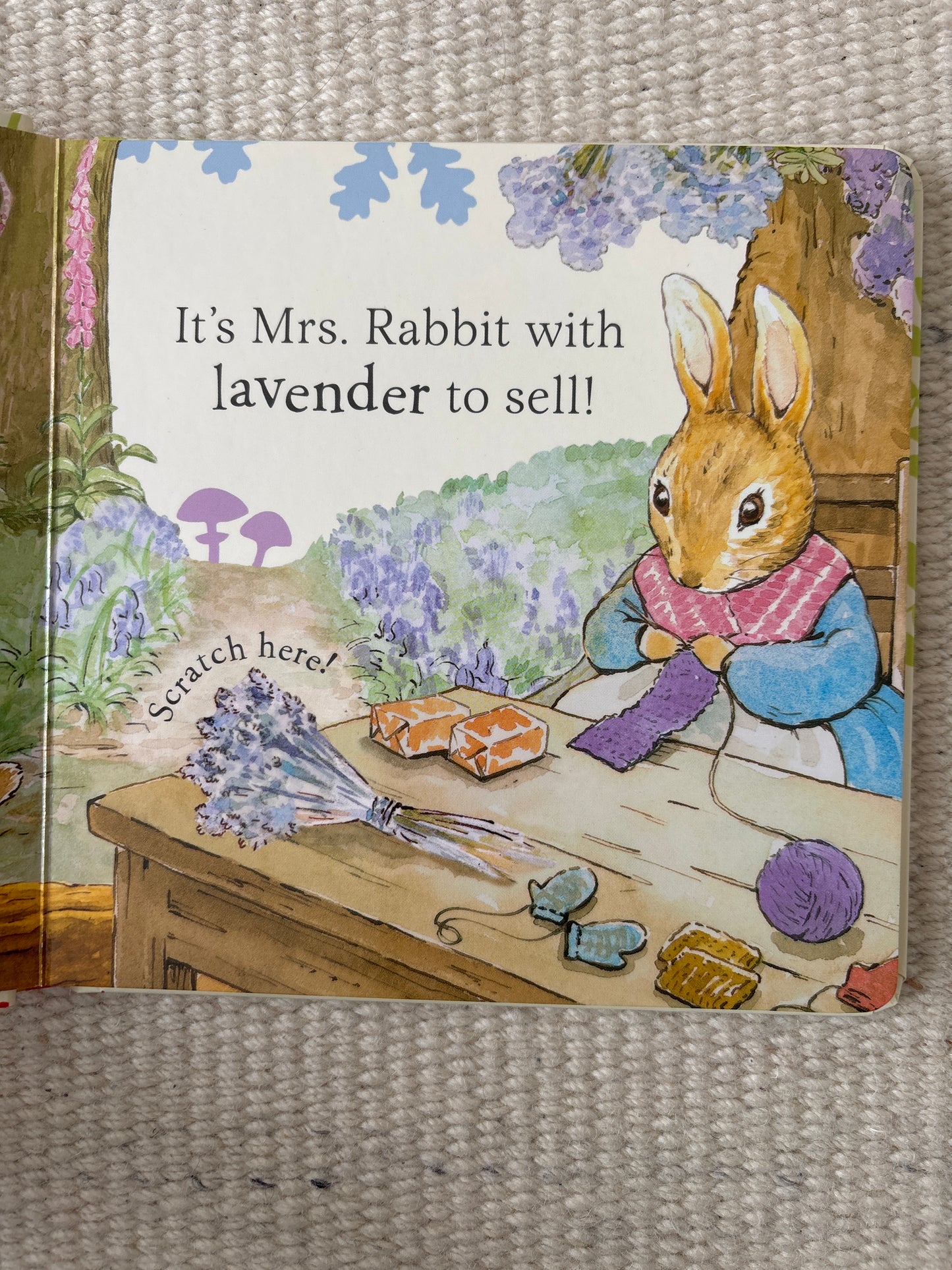 Peter follows his nose