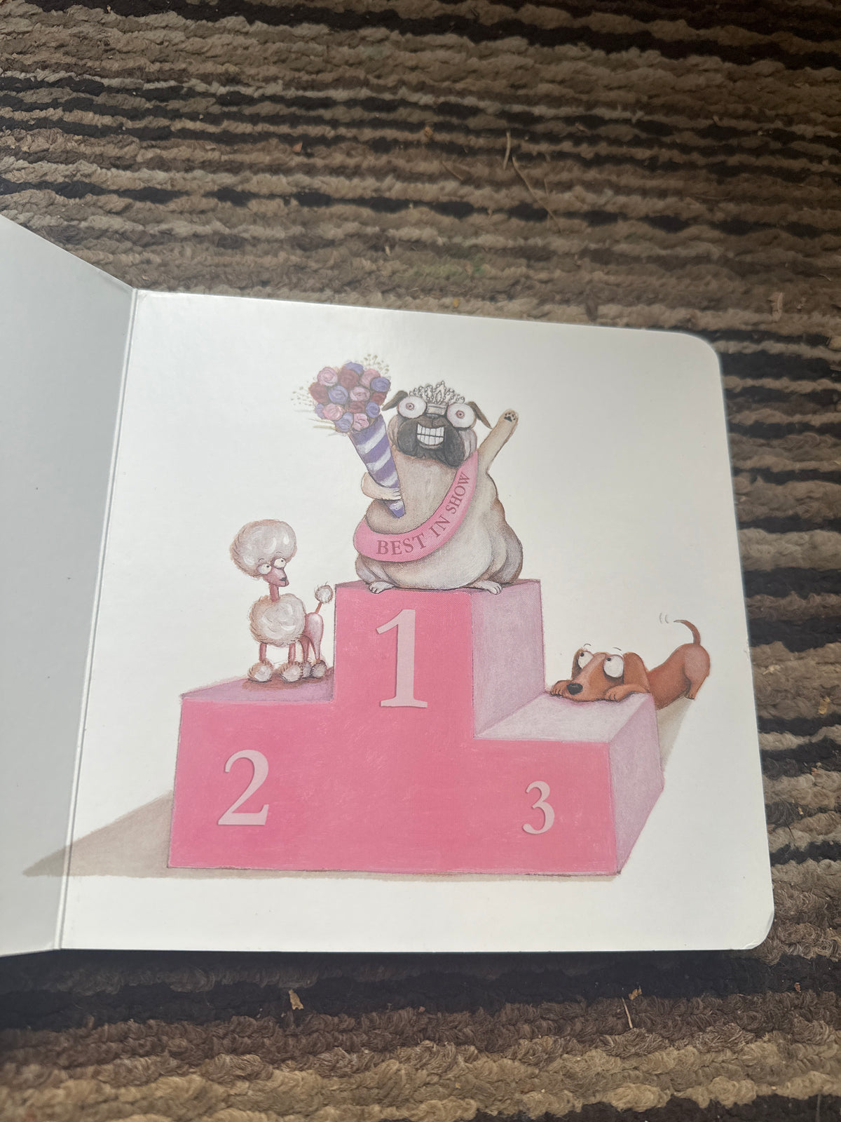 Pig the winner 🥇
