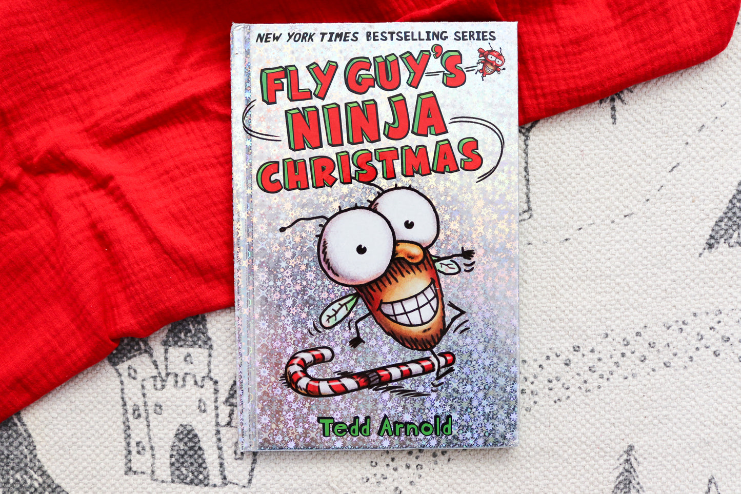 Fly guy's ninja Christmas