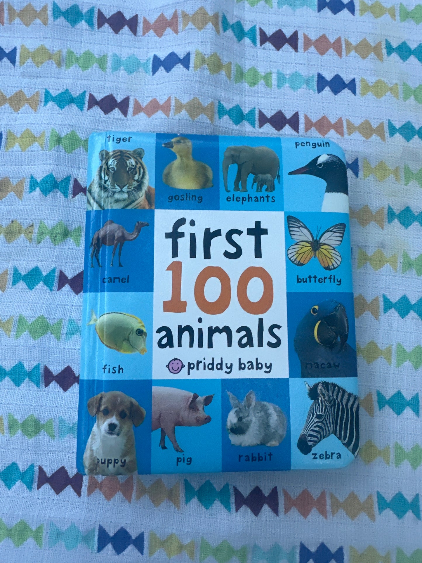 First 100 animals
