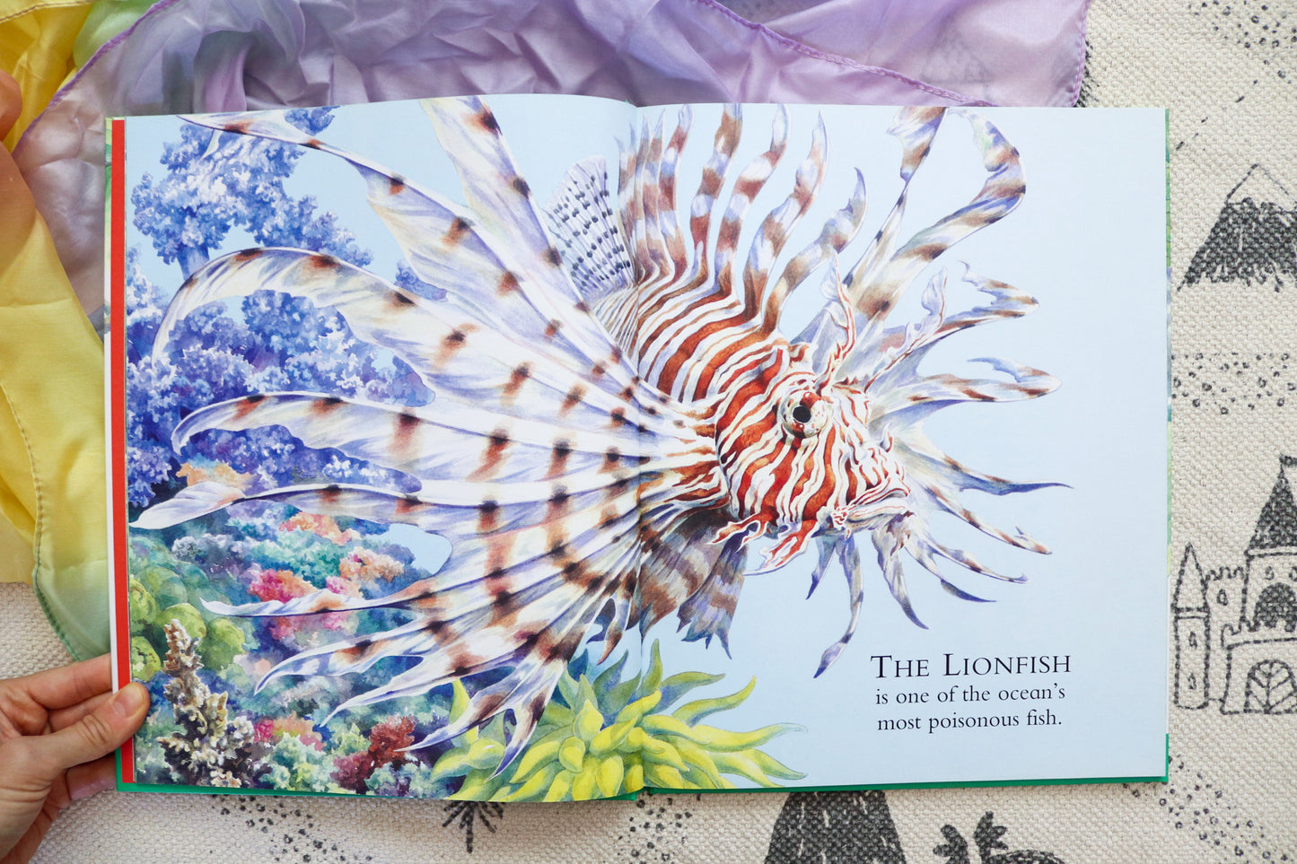 Amazing animals from around the world