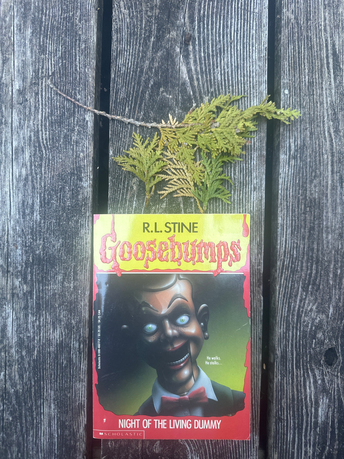 Goosebumps: night of the living dummy