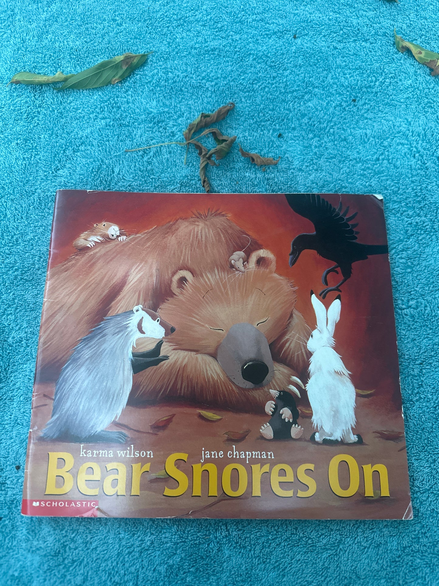 Bear Snores On