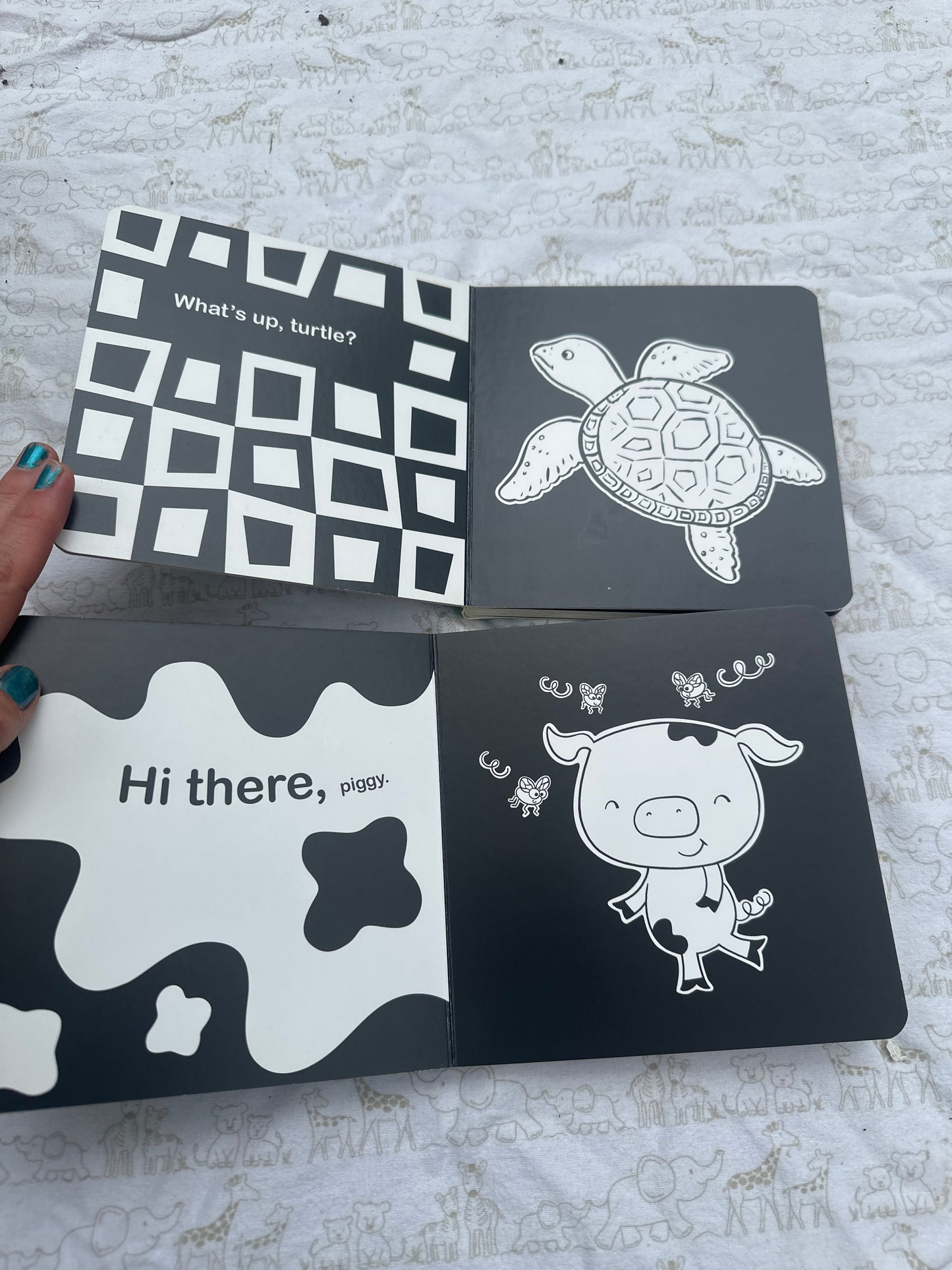 Hello, baby animals and Hello, ocean friends
