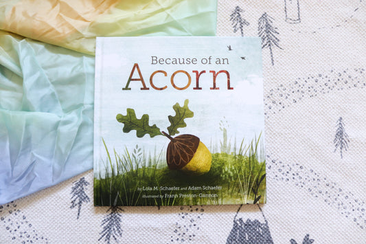 Because of an acorn