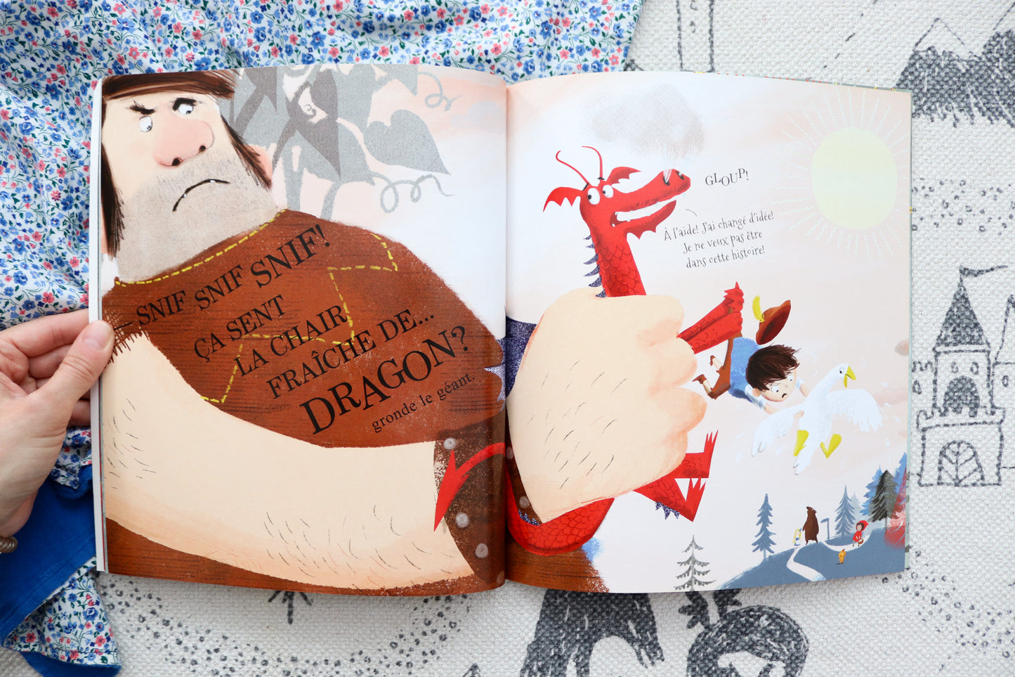 Il n'y a pas de dragon dans cette histoire