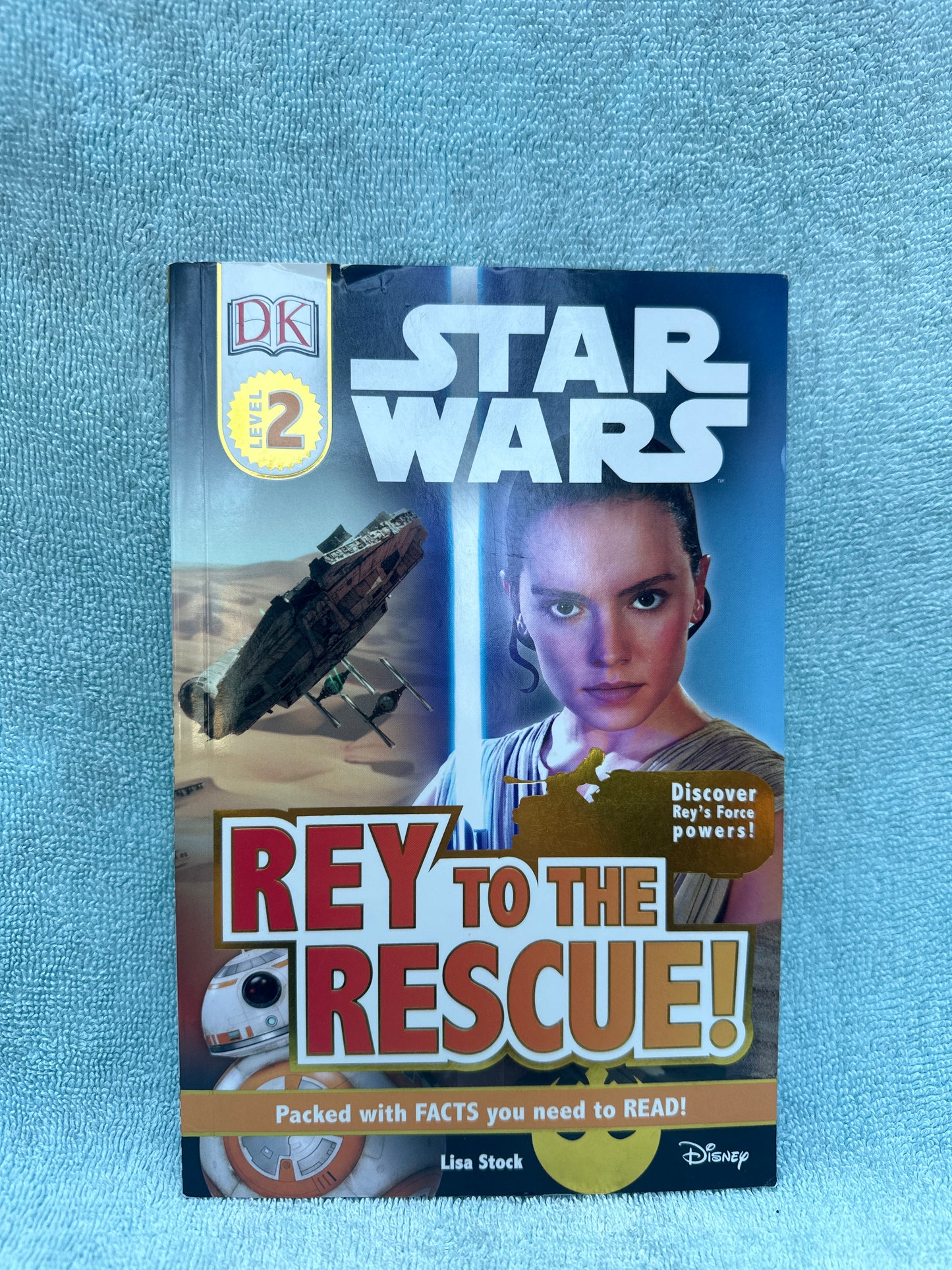 Star Wars Rey to the rescue