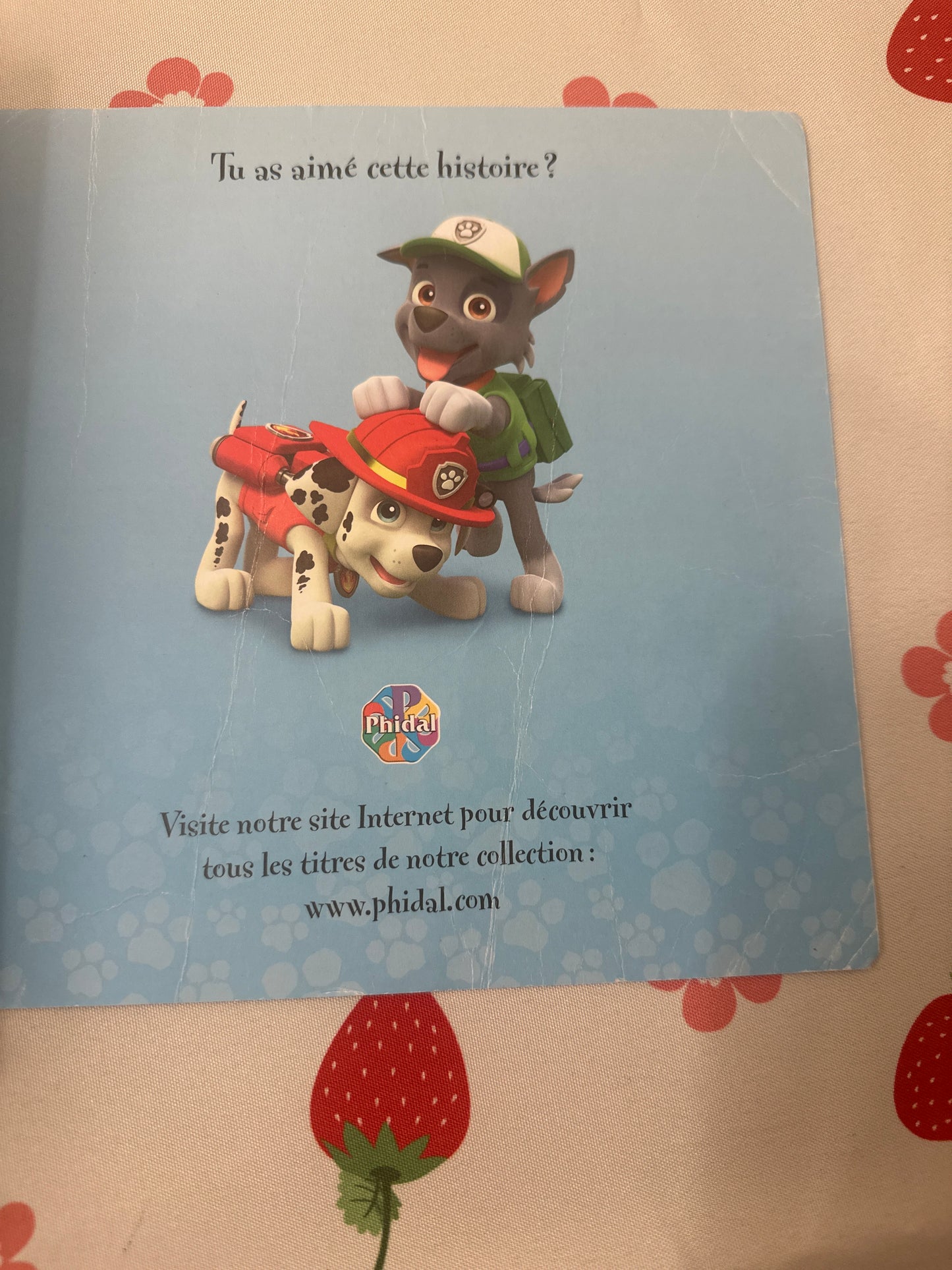 Toùt là-haut! Paw Patrol
