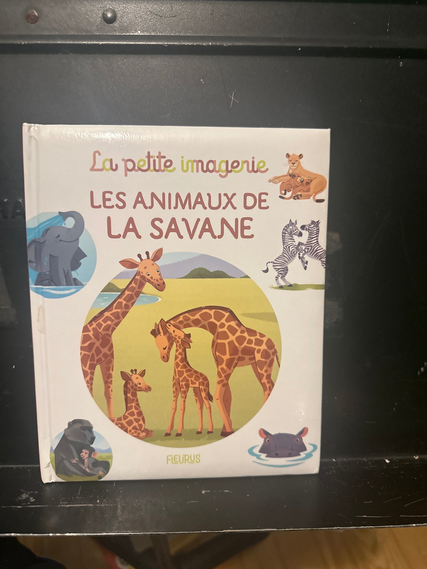 Les animaux de la savane 🦒