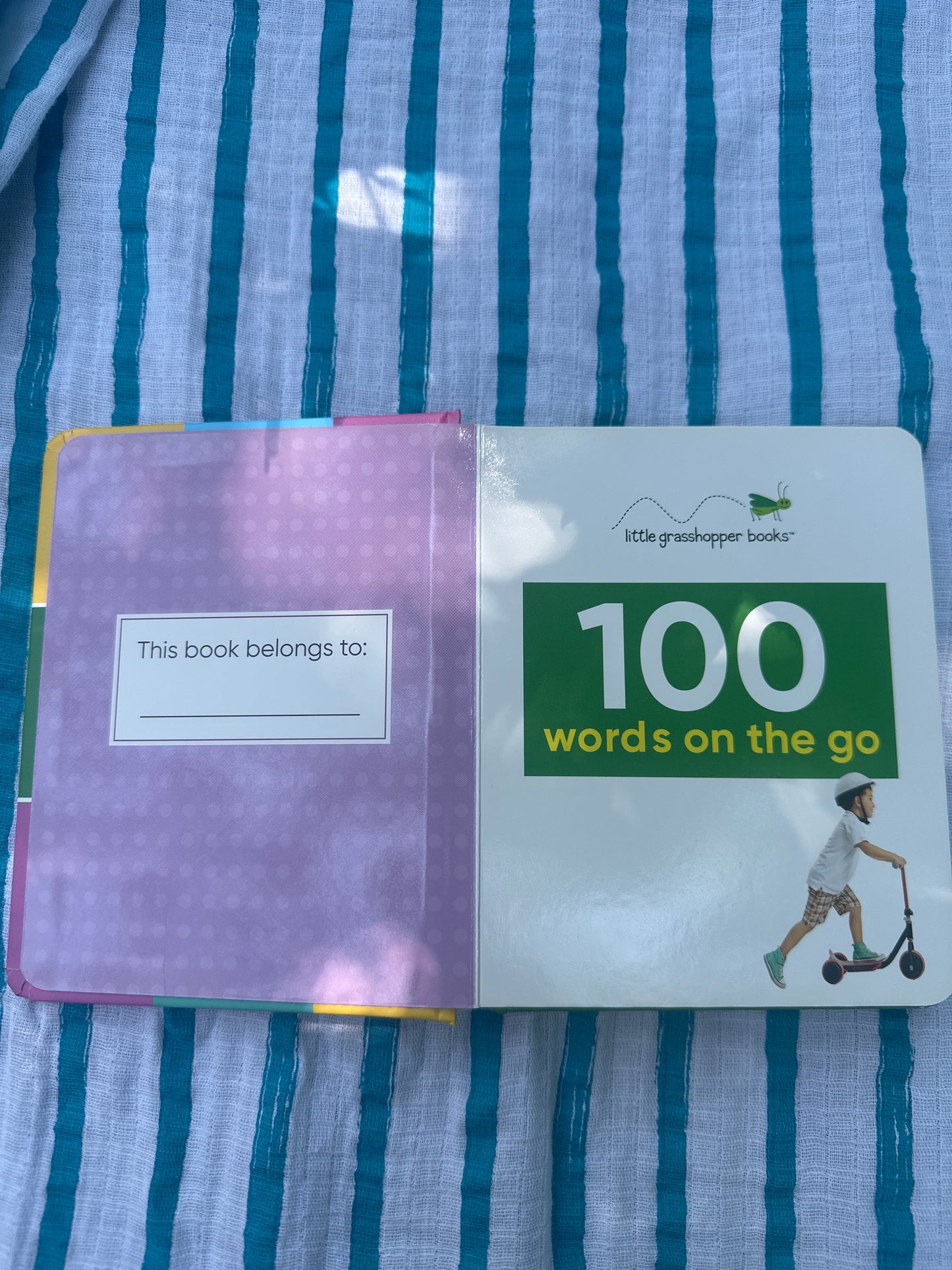 One hundred 100 words on the go