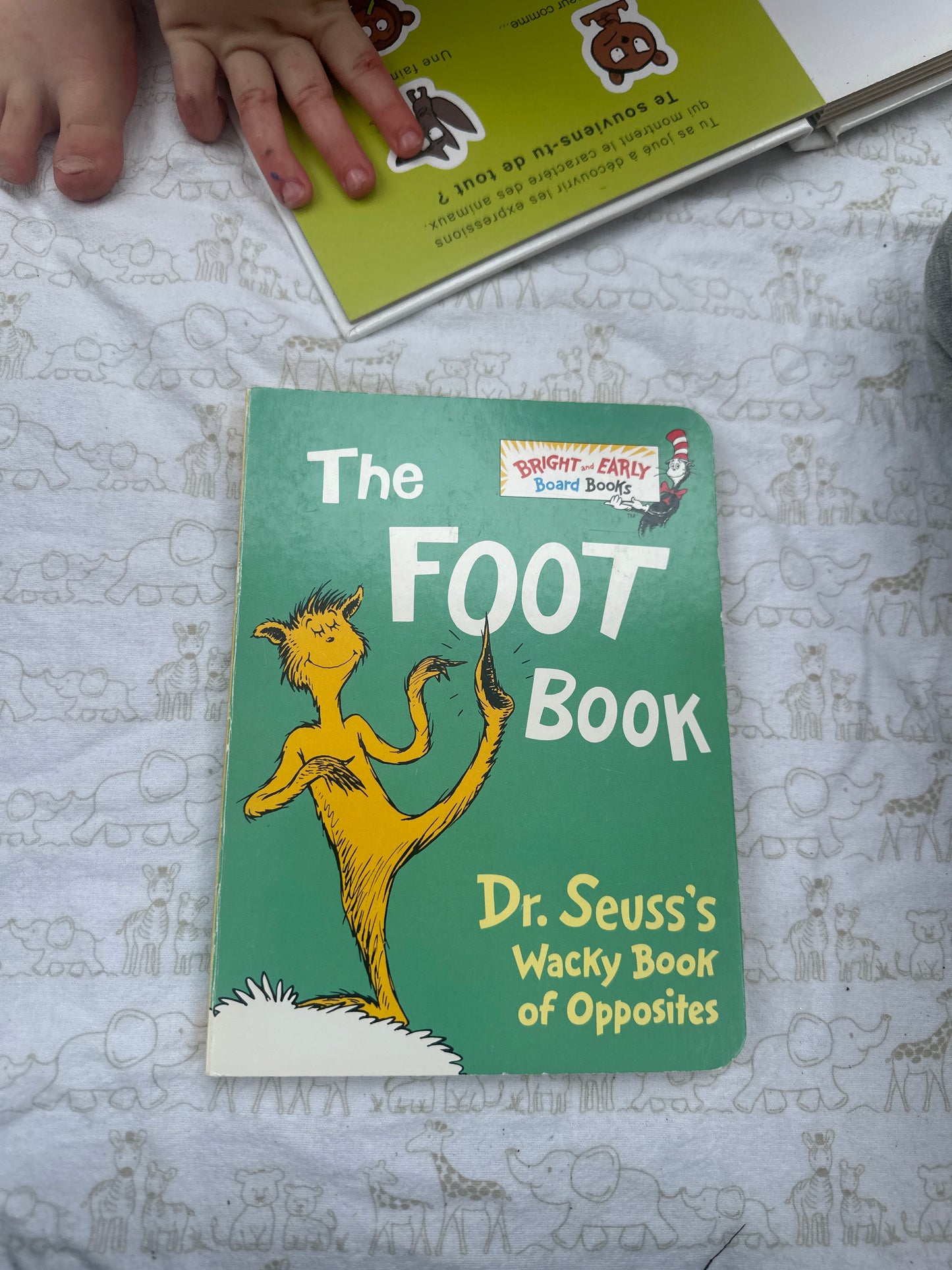 The Foot Book by Dr. Seuss