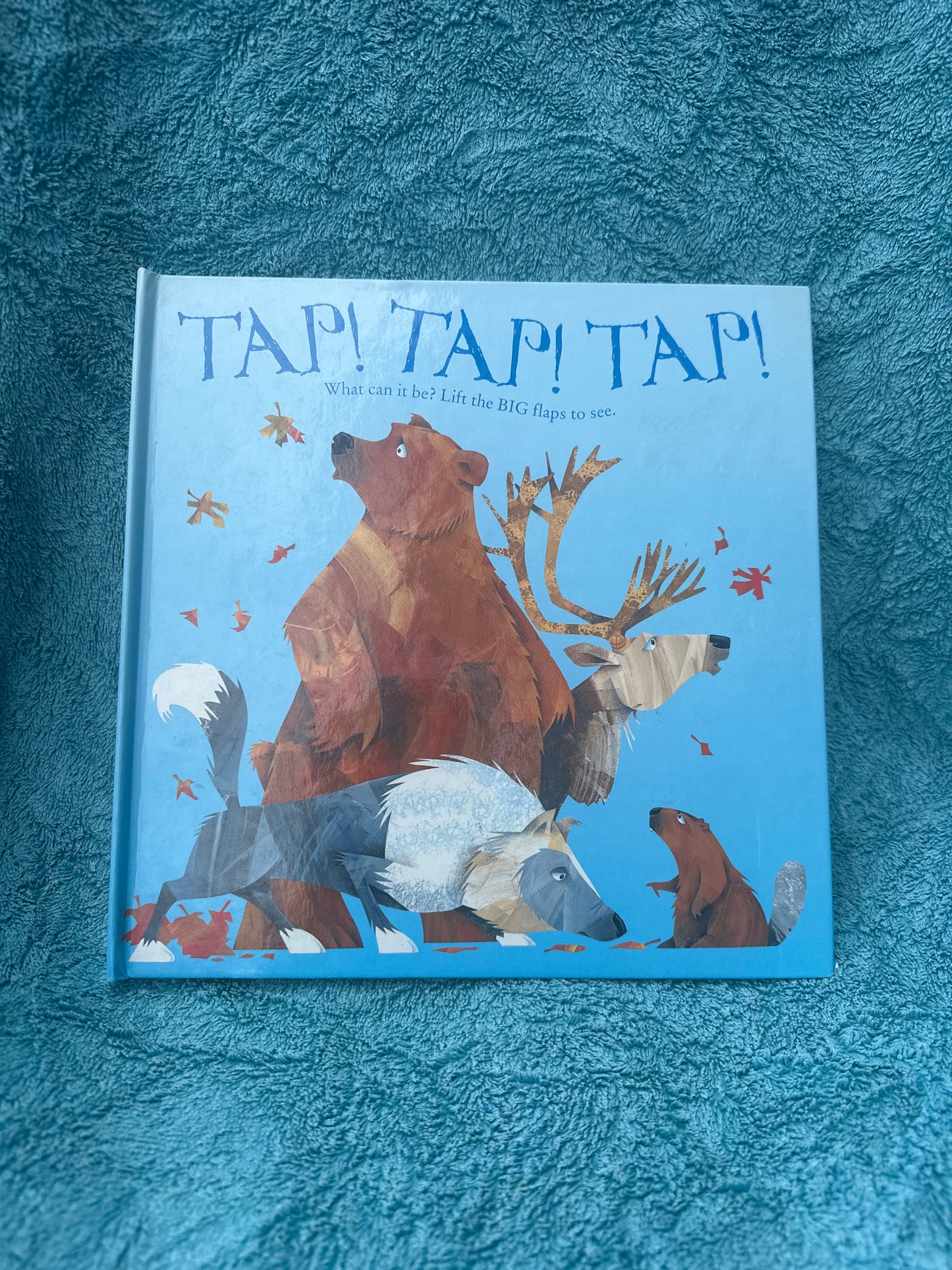 Tap! Tap! Tap! What can it be? Lift the BIG flaps to see.
