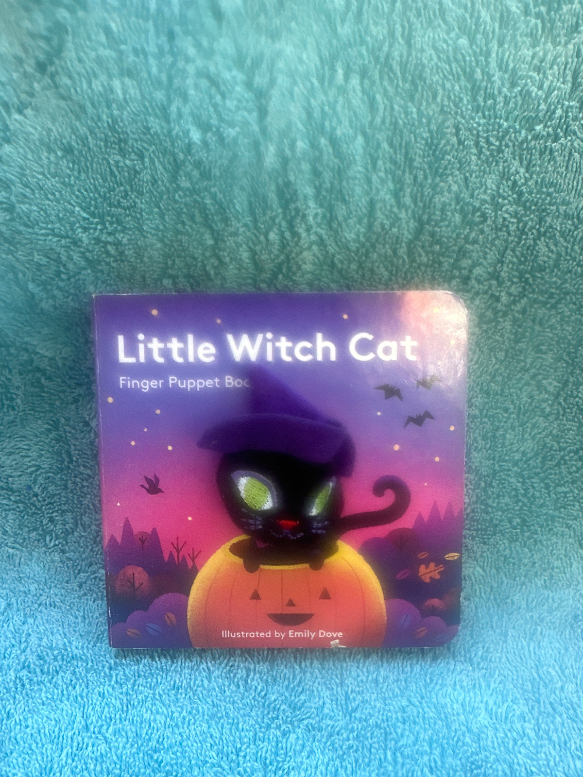 Little Witch Cat 🐈‍⬛
