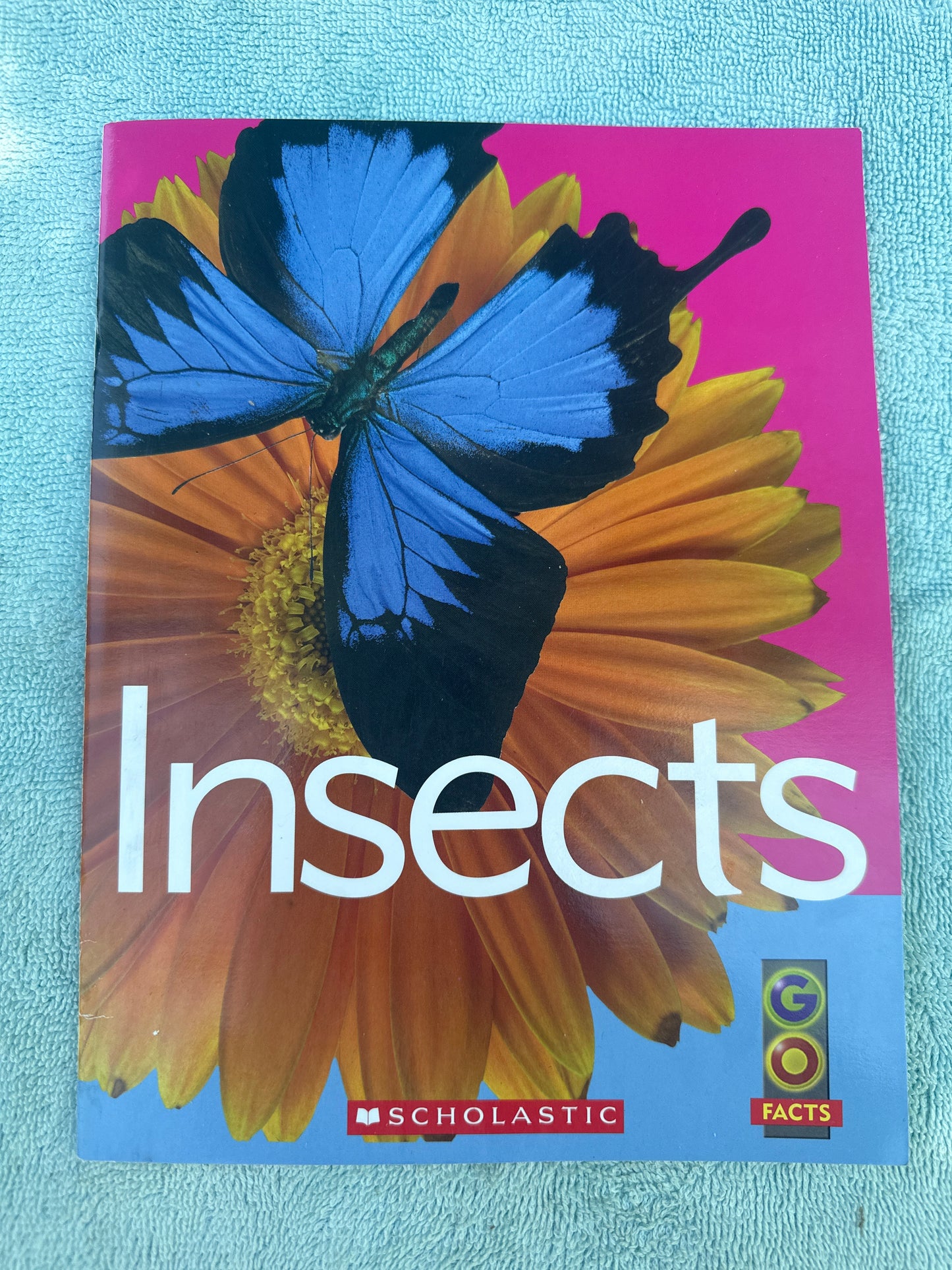 Insects