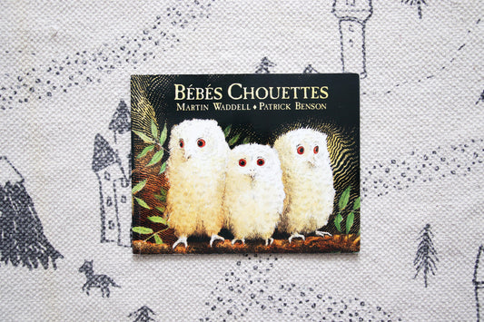 Bébés chouettes