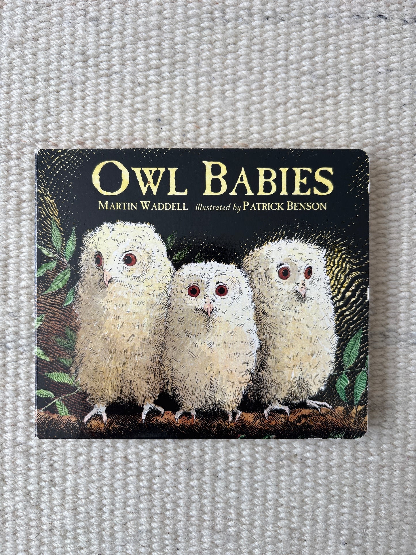 Owls Babies