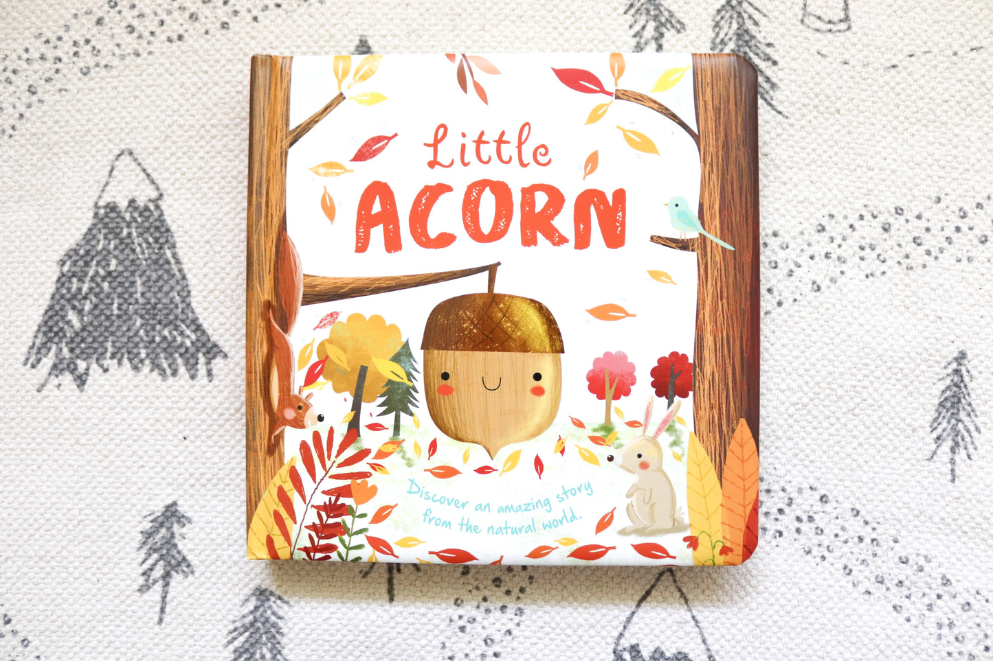 Little Acorn