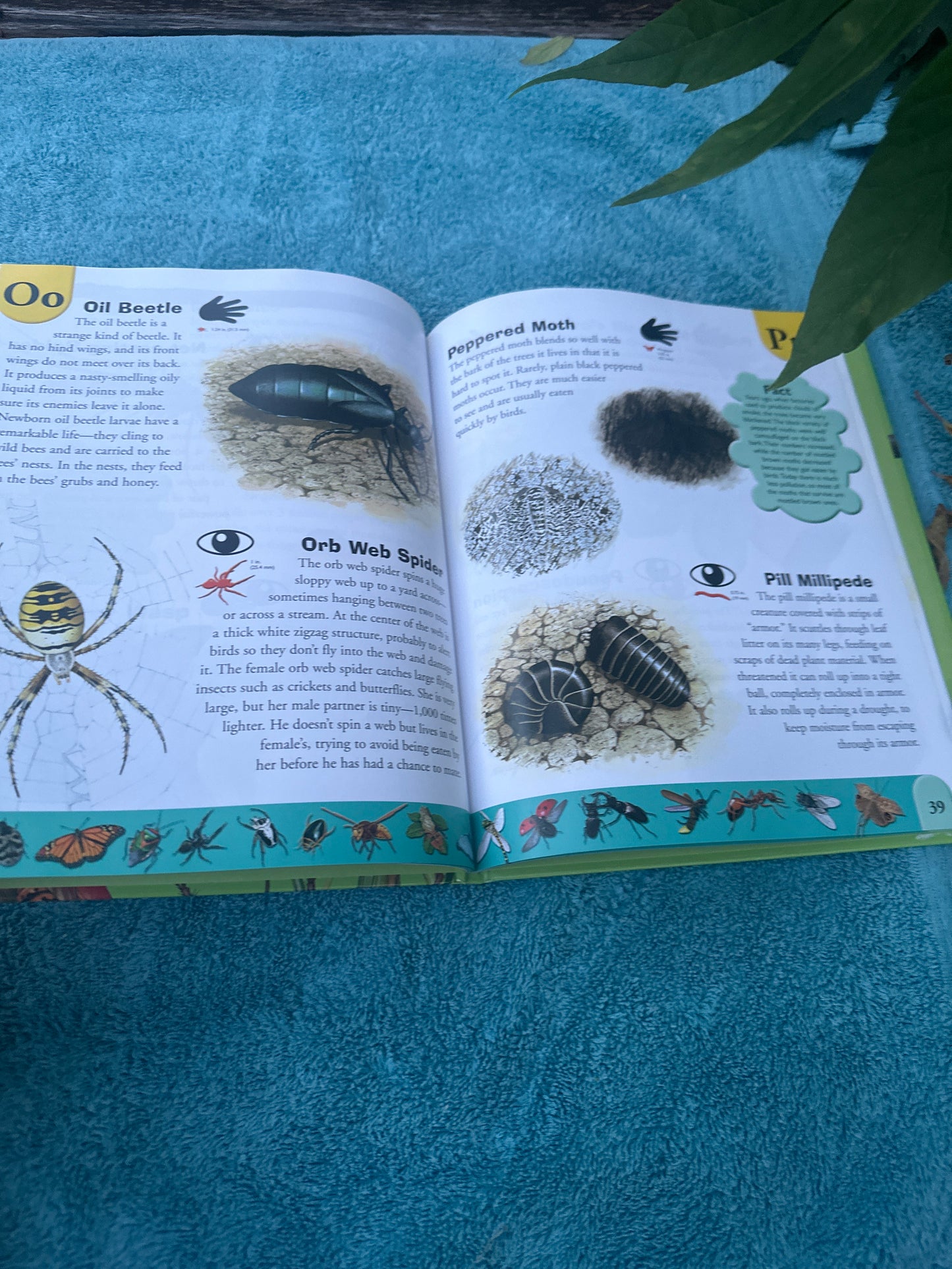 Bug Dictionary
