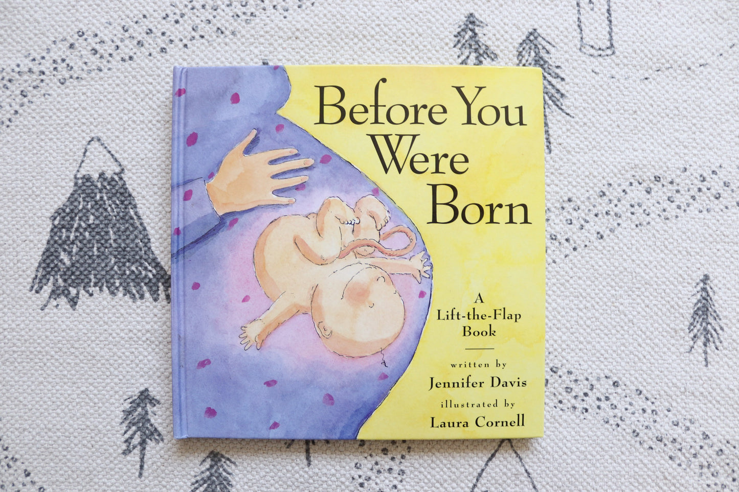 Before you were born a lift-the-flap book