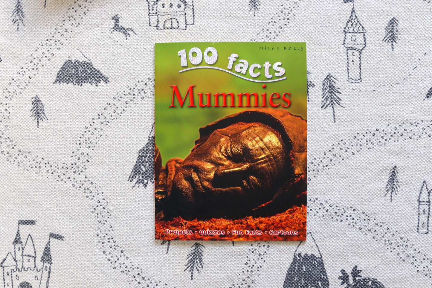 The 100 facts book box