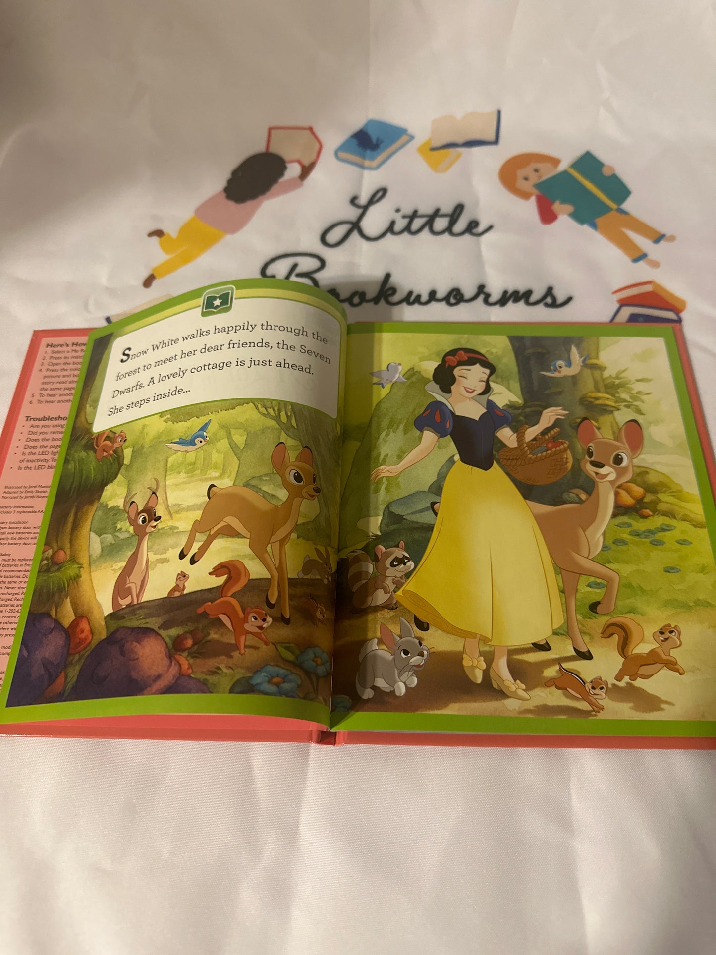 Disney Princess A lot in Common
