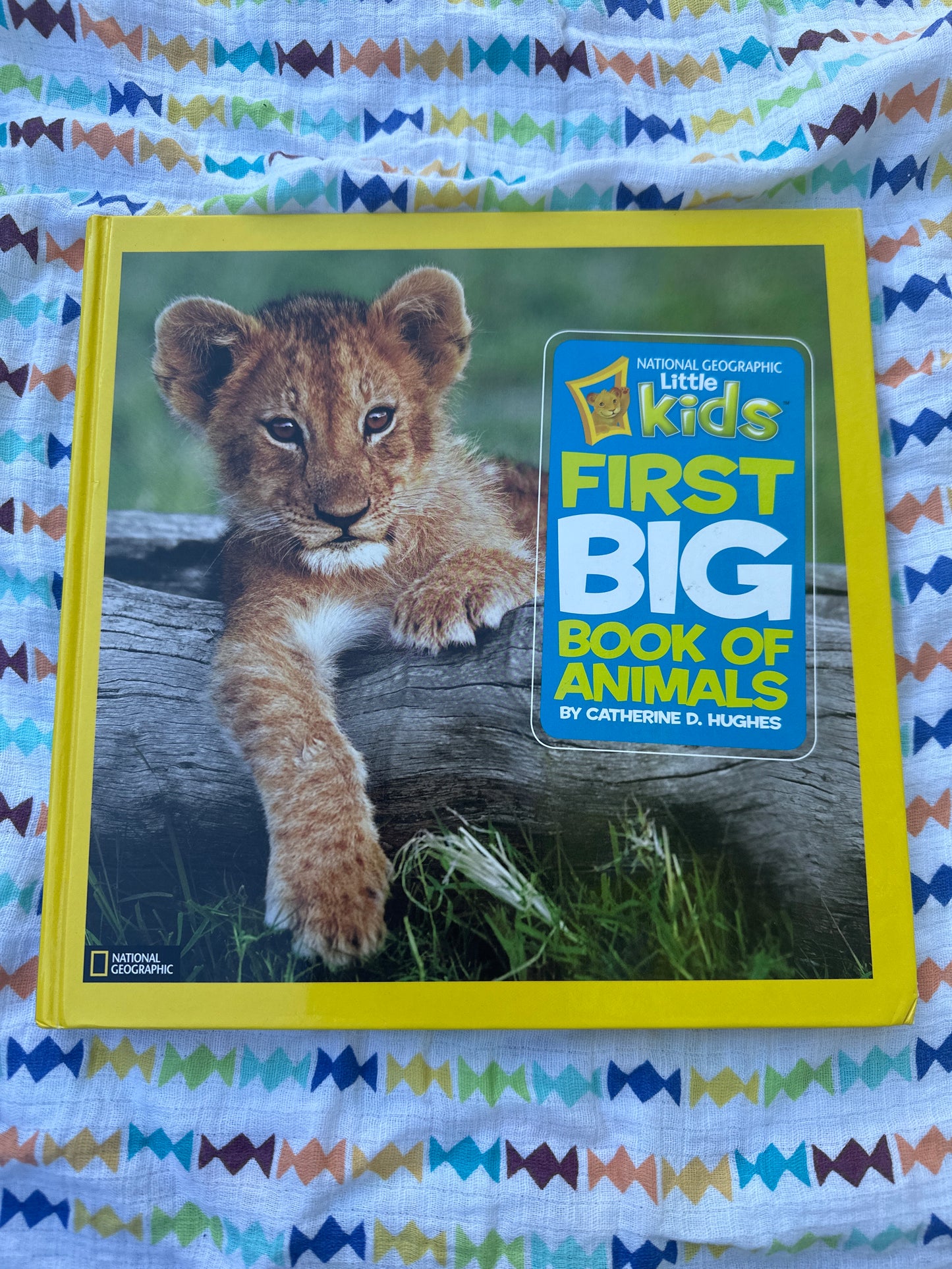 First big book of animals