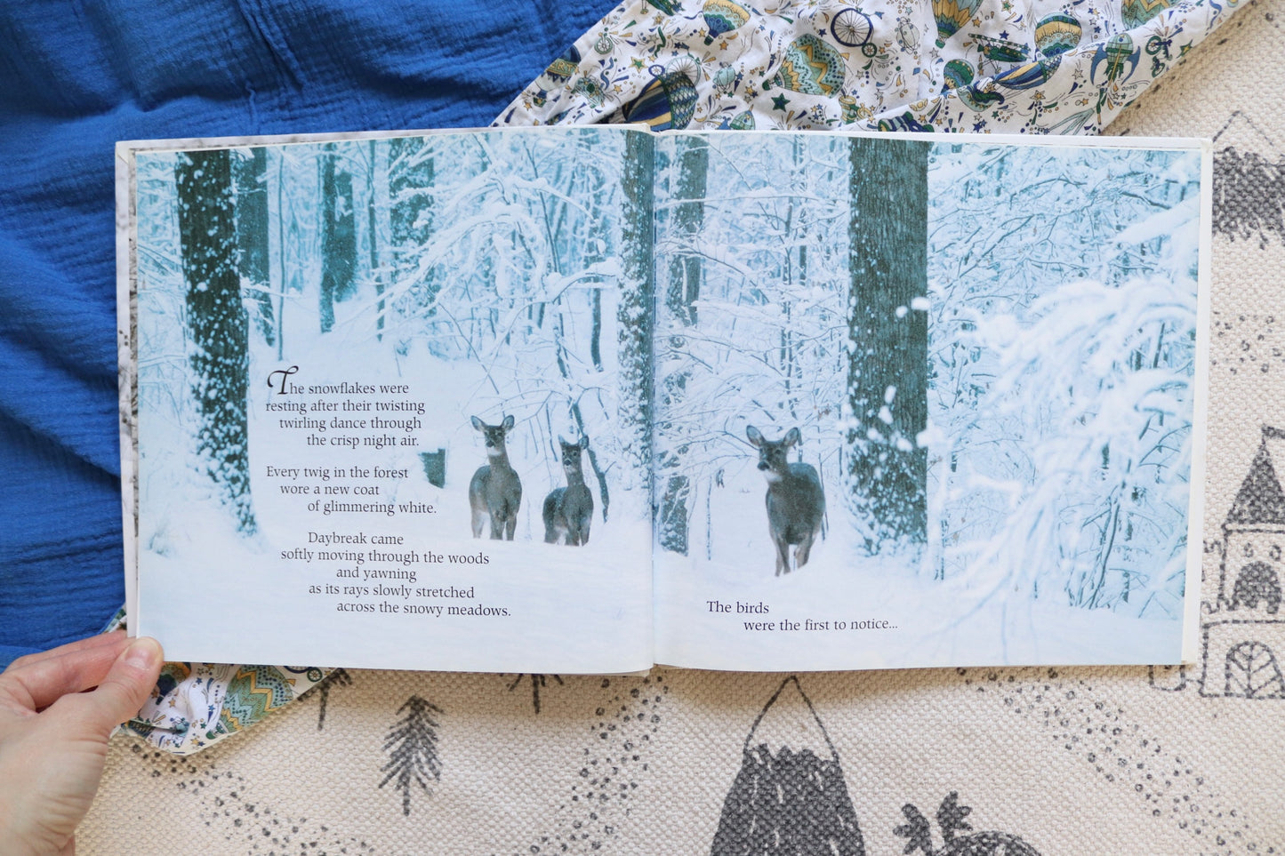 Stranger into the woods