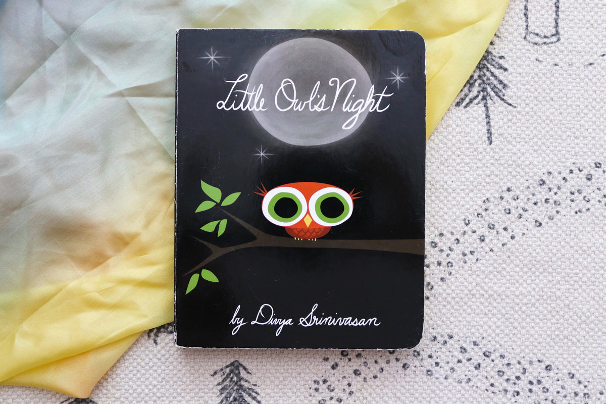 Little Owl's Night