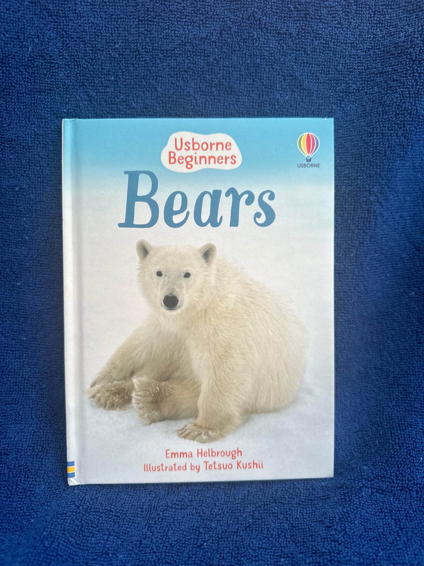 Bears Usborne beginners
